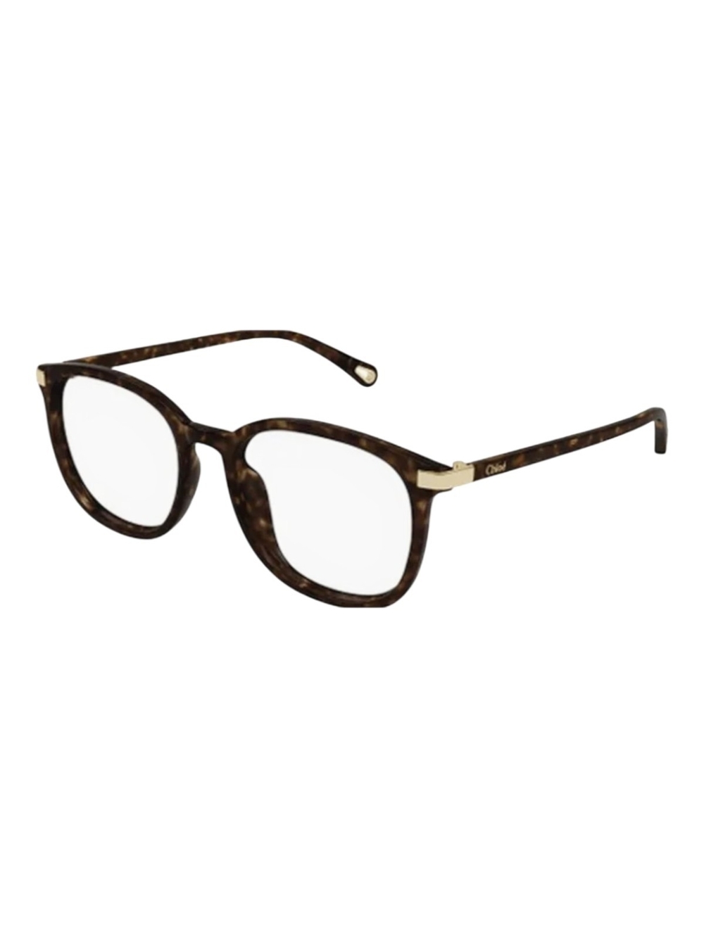 Chloe CH0247OA Eyeglasses 002 - Havana - Transparent For Women 54-18-145